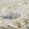 Silver Pave Teardrop Studs